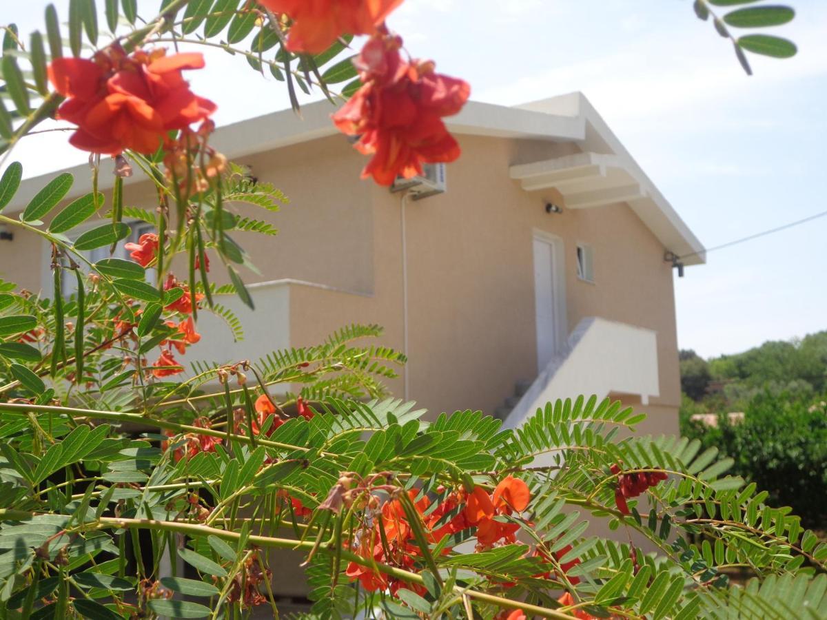 Apartments Pepdjonovic อุลซิน ภายนอก รูปภาพ