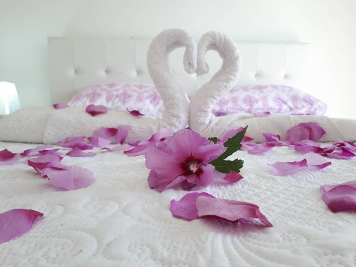Apartments Pepdjonovic อุลซิน ภายนอก รูปภาพ