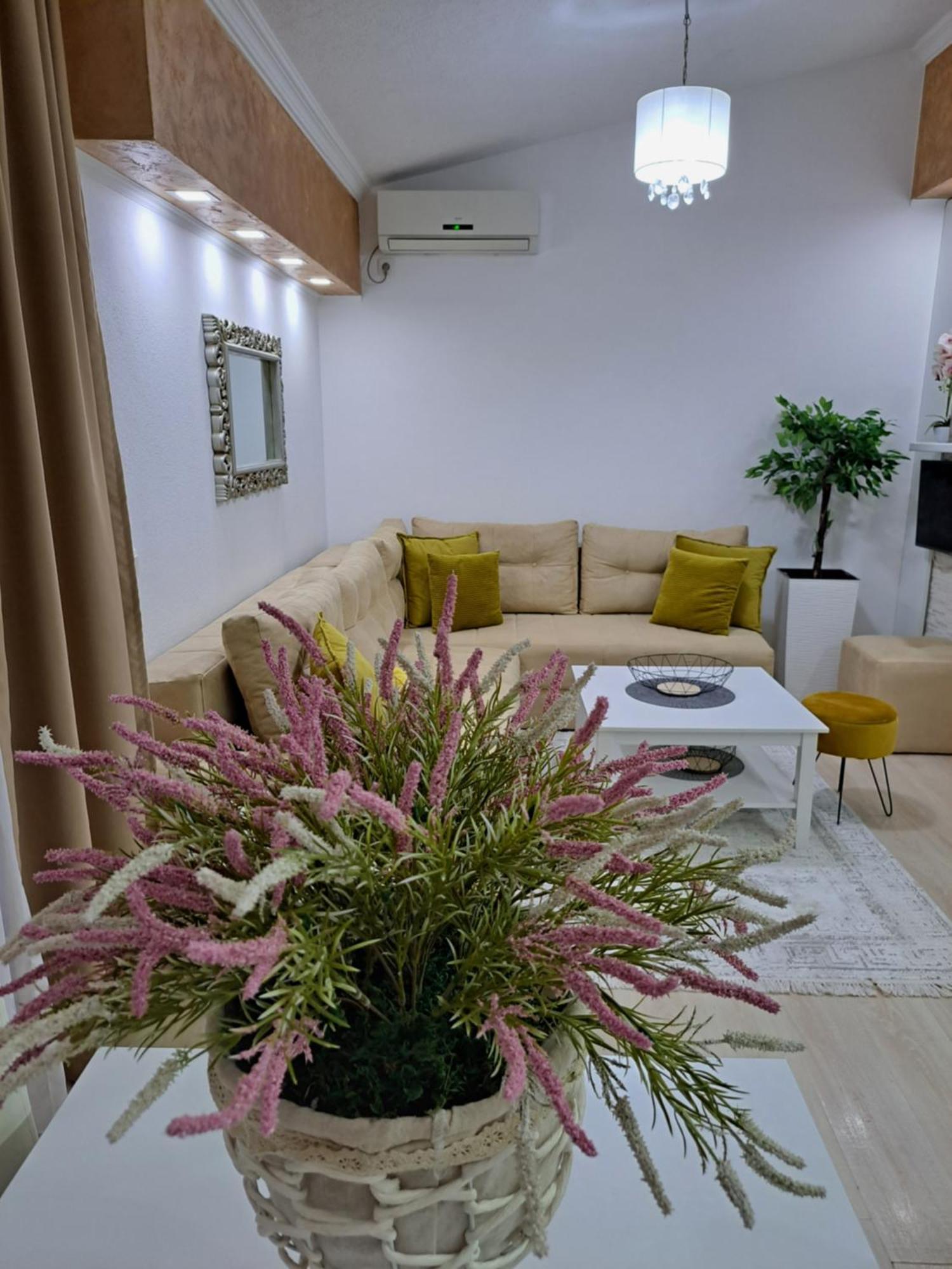 Apartments Pepdjonovic อุลซิน ภายนอก รูปภาพ